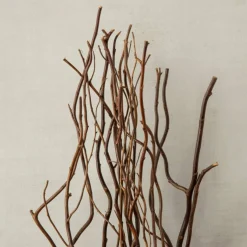 12 Pack: Natural Curly Willow by Ashland®