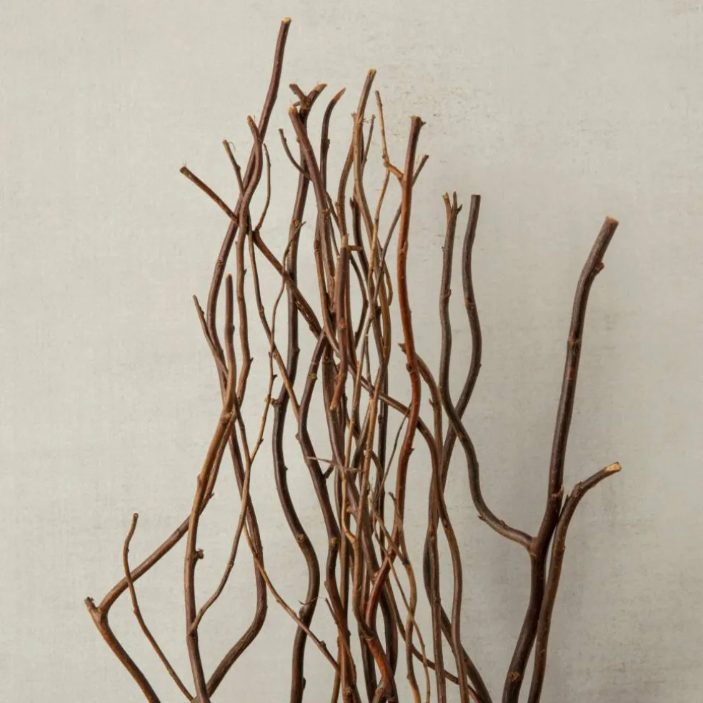12 Pack: Natural Curly Willow by Ashland®