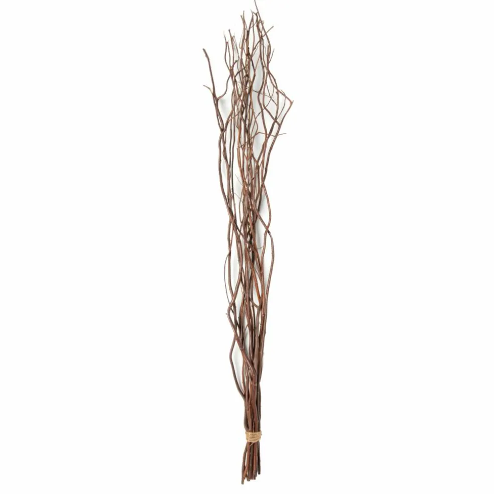 12 Pack: Natural Curly Willow by Ashland®