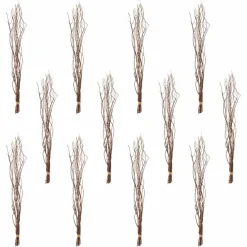12 Pack: Natural Curly Willow by Ashland®