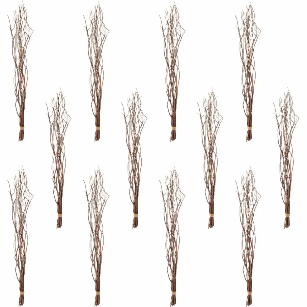 12 Pack: Natural Curly Willow by Ashland®