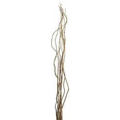 12 Pack: Natural Curly Willow by Ashland®