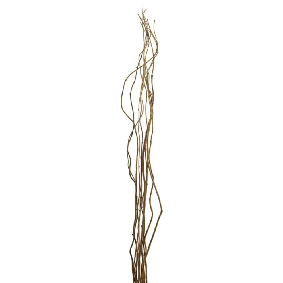 12 Pack: Natural Curly Willow by Ashland®