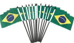 Pack of 12 Brazil Mini Flags – 4