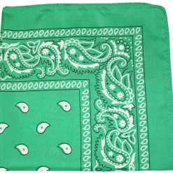 Pack of 48 Daily Basic 100% Polyester 22 x 22 Paisley Printed Bandanas