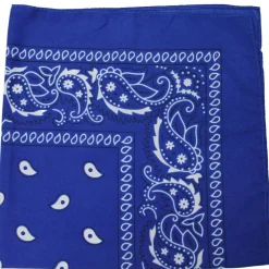 Pack of 48 Daily Basic 100% Polyester 22 x 22 Paisley Printed Bandanas