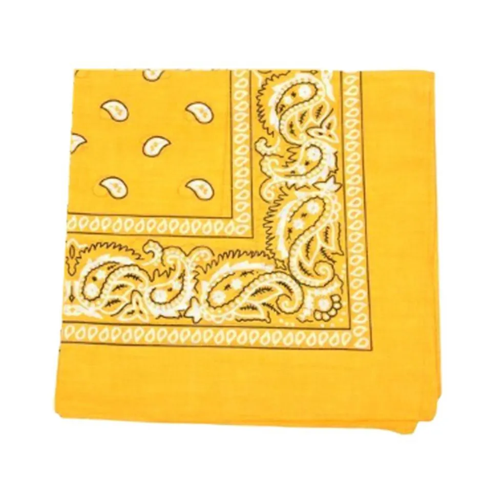 Pack of 48 Daily Basic 100% Polyester 22 x 22 Paisley Printed Bandanas