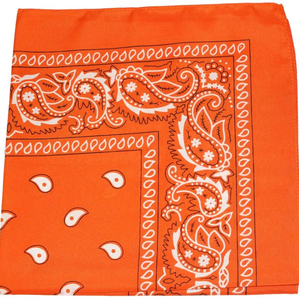 Pack of 48 Daily Basic 100% Polyester 22 x 22 Paisley Printed Bandanas
