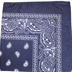Pack of 48 Daily Basic 100% Polyester 22 x 22 Paisley Printed Bandanas