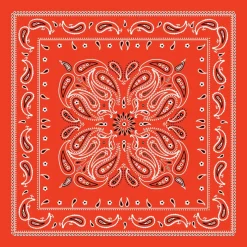 12 Pack: Paisley Bandana by Make Market®
