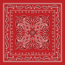 12 Pack: Paisley Bandana by Make Market®