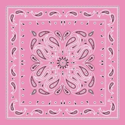 12 Pack: Paisley Bandana by Make Market®