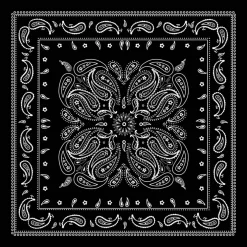 12 Pack: Paisley Bandana by Make Market®