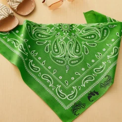 12 Pack: Paisley Bandana by Make Market®