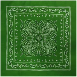 12 Pack: Paisley Bandana by Make Market®