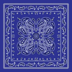12 Pack: Paisley Bandana by Make Market®