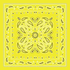 12 Pack: Paisley Bandana by Make Market®