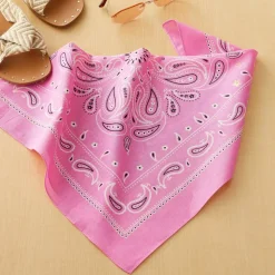 12 Pack: Paisley Bandana by Make Market®