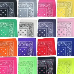 10 Pack Paisley 100% Cotton Double Sided Bandana, 22 inches