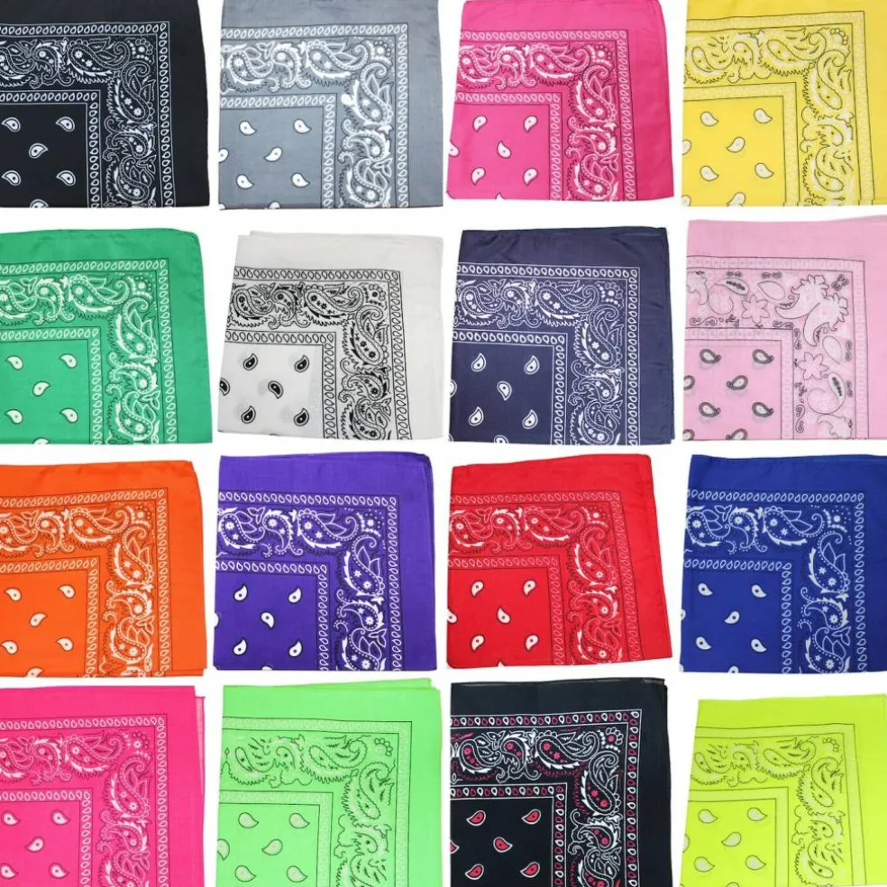 10 Pack Paisley 100% Cotton Double Sided Bandana, 22 inches