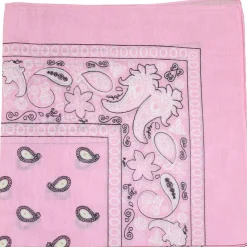 10 Pack Paisley 100% Cotton Double Sided Bandana, 22 inches