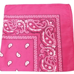 10 Pack Paisley 100% Cotton Double Sided Bandana, 22 inches