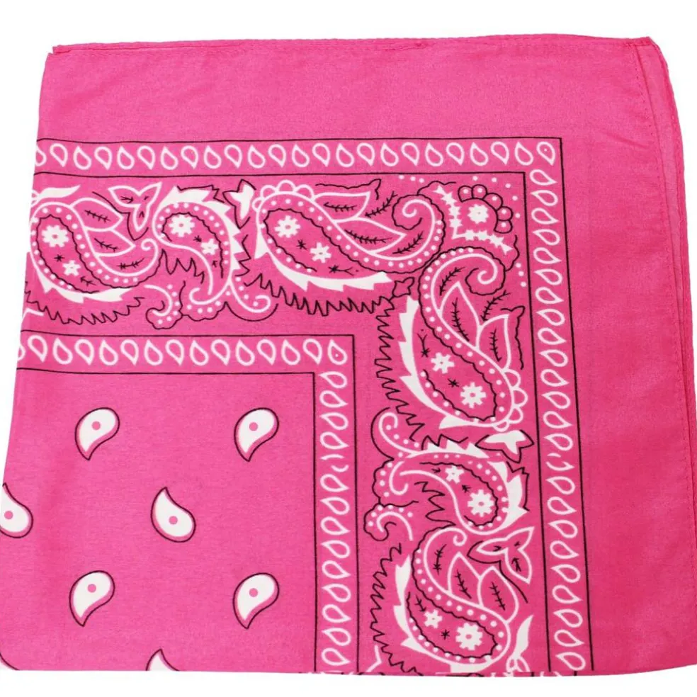 10 Pack Paisley 100% Cotton Double Sided Bandana, 22 inches