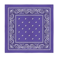 12-Pack Paisley 100% Cotton Double Sided Bandanas