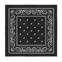 12-Pack Paisley 100% Cotton Double Sided Bandanas
