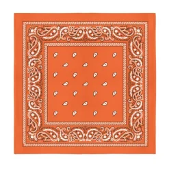 12-Pack Paisley 100% Cotton Double Sided Bandanas