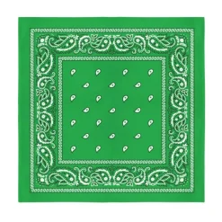 12-Pack Paisley 100% Cotton Double Sided Bandanas