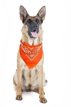5 Pack Paisley Polyester Pets Dogs Bandana Triangle Shape  - Oversized