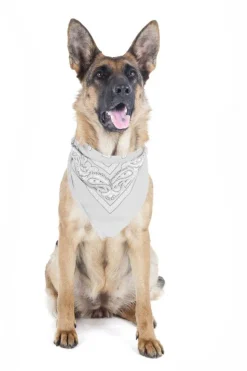 5 Pack Paisley Polyester Pets Dogs Bandana Triangle Shape - Oversized