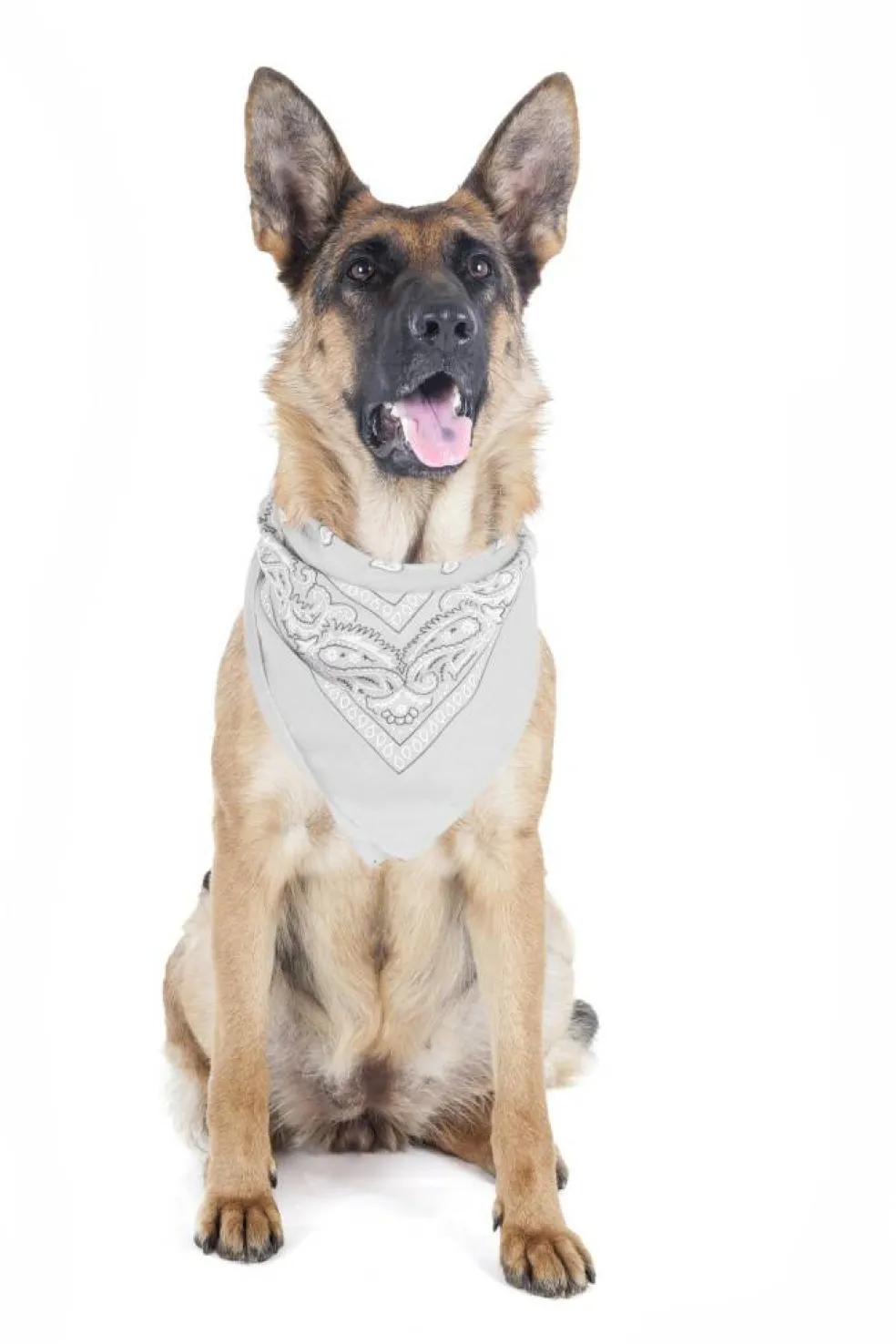 5 Pack Paisley Polyester Pets Dogs Bandana Triangle Shape - Oversized