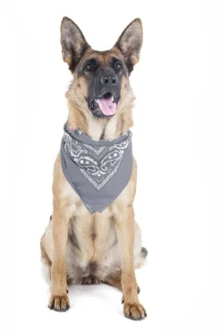 5 Pack Paisley Polyester Pets Dogs Bandana Triangle Shape - Oversized