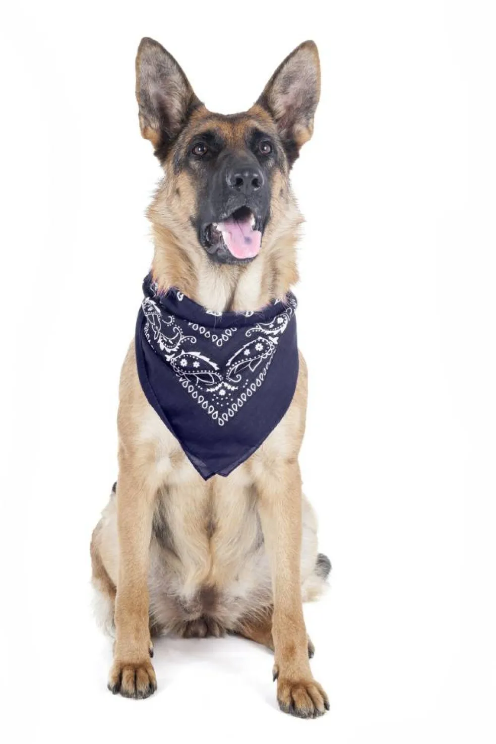 5 Pack Paisley Polyester Pets Dogs Bandana Triangle Shape - Oversized