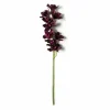 8 Pack: Plum Boat Orchid Spray by Ashland®