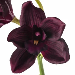 8 Pack: Plum Boat Orchid Spray by Ashland®