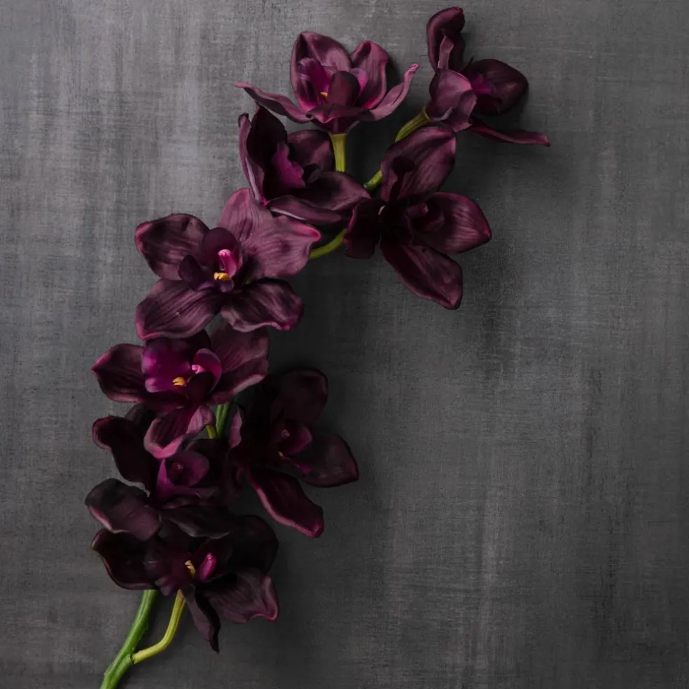 8 Pack: Plum Boat Orchid Spray by Ashland®