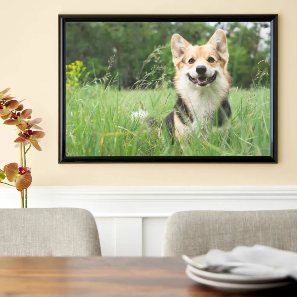 6 Pack: Poster Frame by Studio Décor®