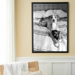 6 Pack: Poster Frame by Studio Décor®