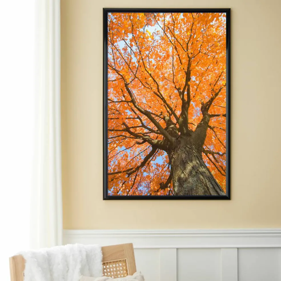 8 Pack: Poster Frame by Studio Décor®
