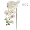 4-Pack: Real Touch White Phalaenopsis Orchid Stem, Floral Home by Artificial Flowers