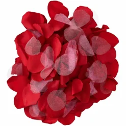 12 Pack: Red Decorative Rose Petals by Celebrate It™ Occasions™