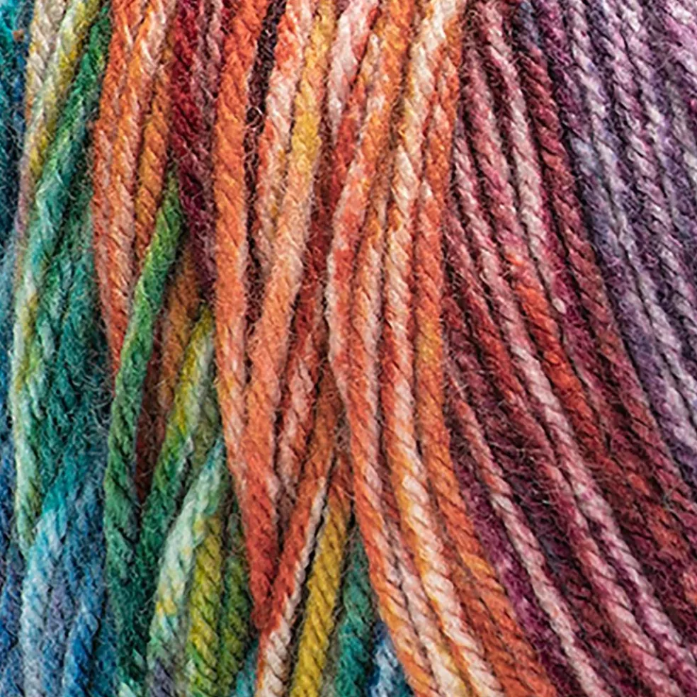 2 Pack Red Heart® Super Saver® Bitty Stripes™ Yarn