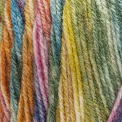 2 Pack Red Heart® Super Saver® Bitty Stripes™ Yarn