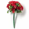 20 Pack: Red Rose Bush Classic Traditions™ by Ashland®