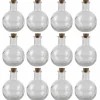 12 Pack: Round Glass Bottle with Cork by Ashland™
