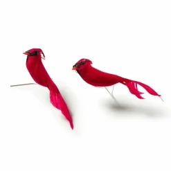 24 Packs: 2 ct. (48 total) Cardinal Birds by Ashland®