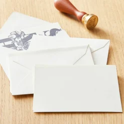 12 Packs: 20 ct. (240 total) Ivory Cards & Envelopes by Recollections™, 2.5" x 3.5"